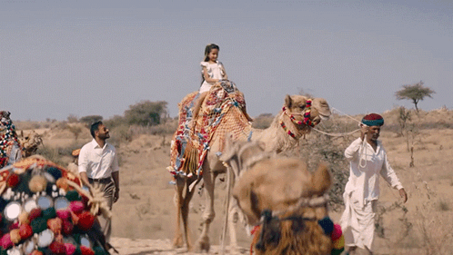 riding a camel amay gif – Trending GIF on GifVif
