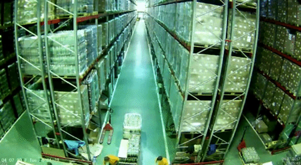 Fragile complex GIF - Funny GIF | GifVif