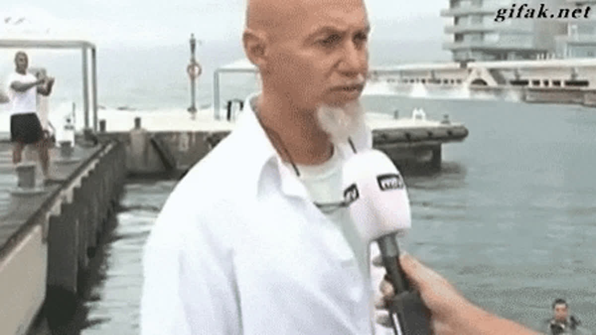 Hey see GIF - Funny GIF | GifVif