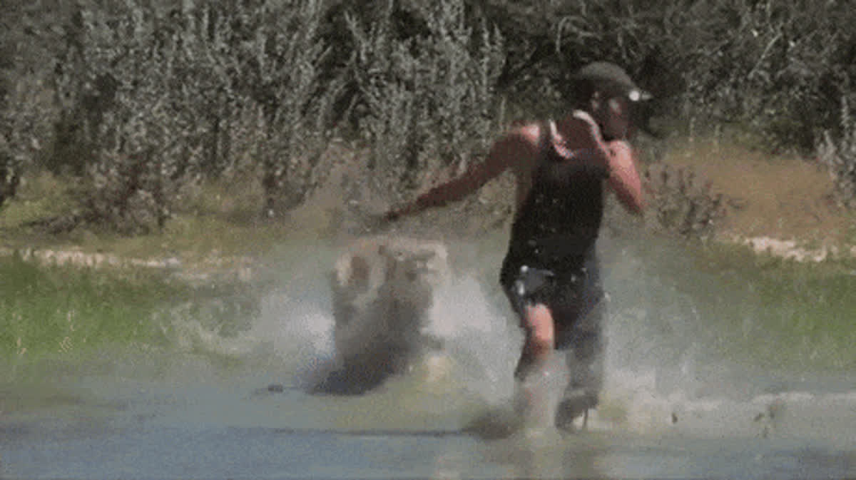 Oh hey its you GIF - Funny GIF | GifVif