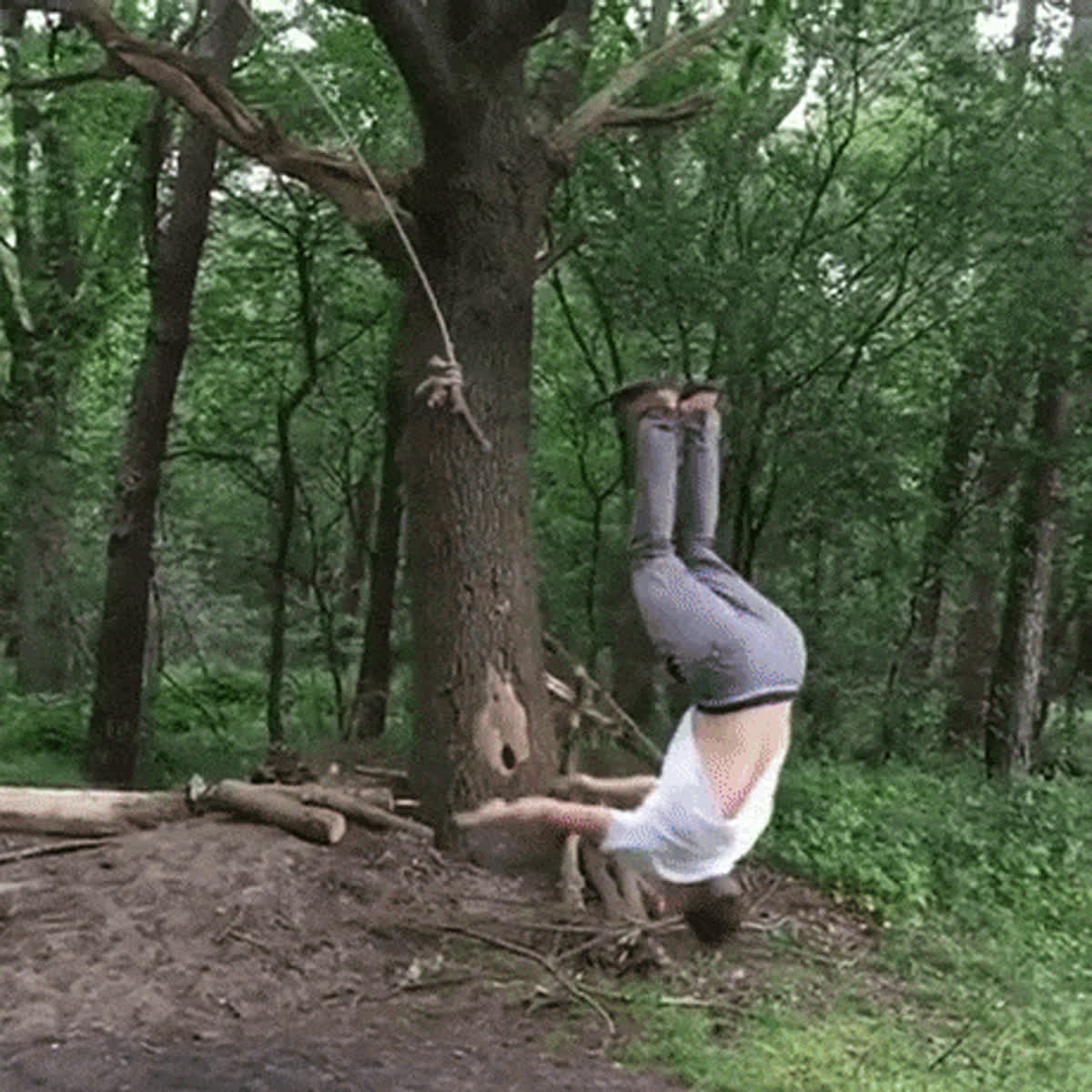 Rope swing GIF - Wow GIF | GifVif