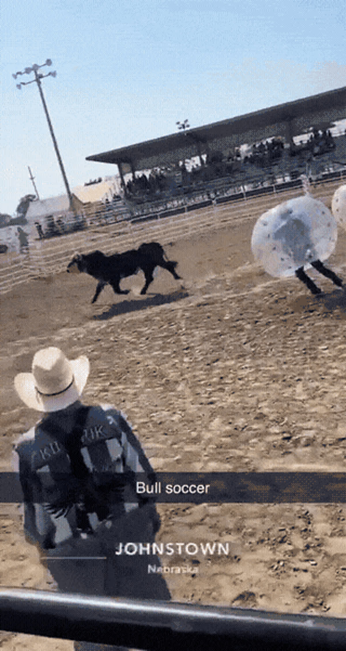 Bull soccer GIF - Damn-thats-interesting GIF | GifVif