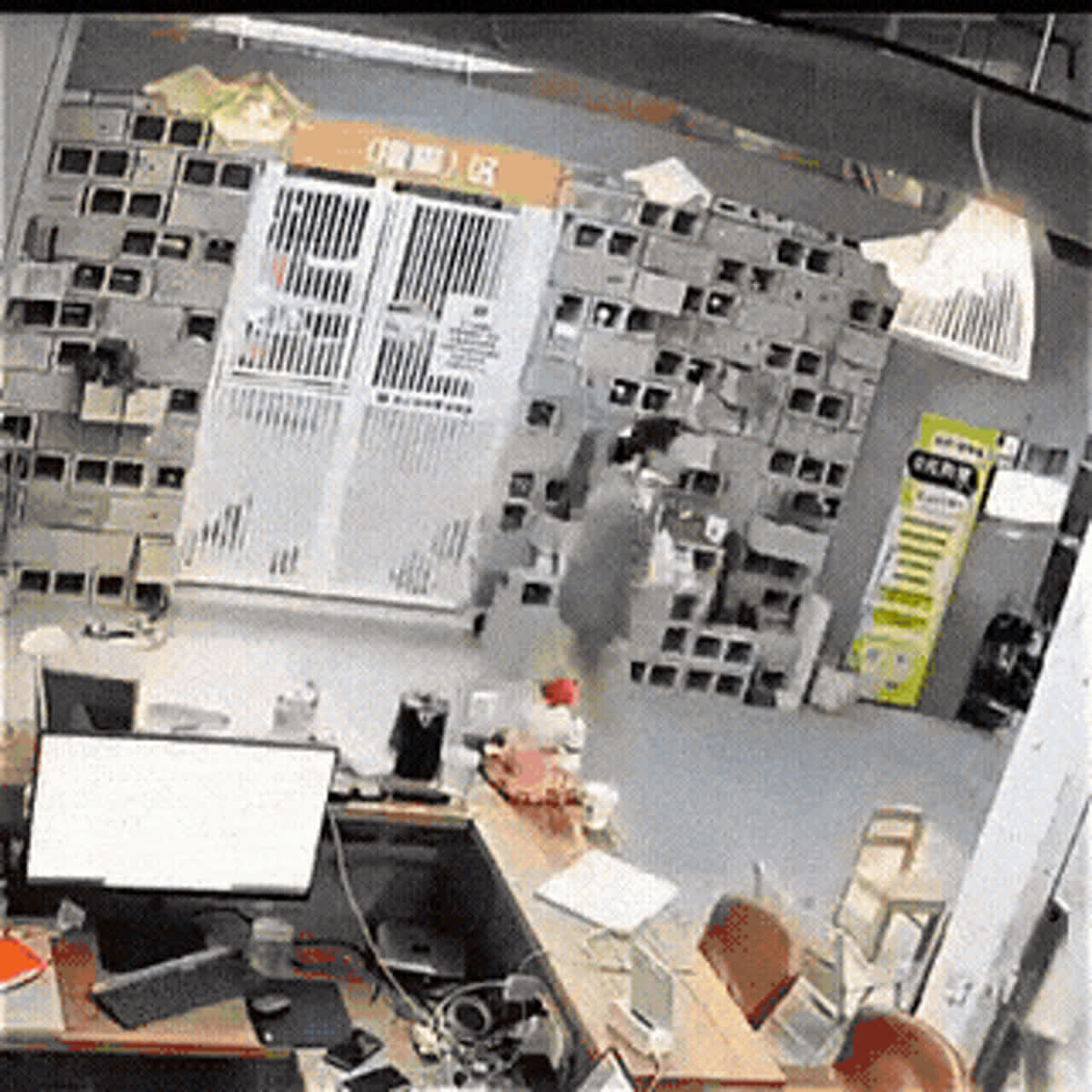 Cat distribution system at work GIF - Cat GIF | GifVif
