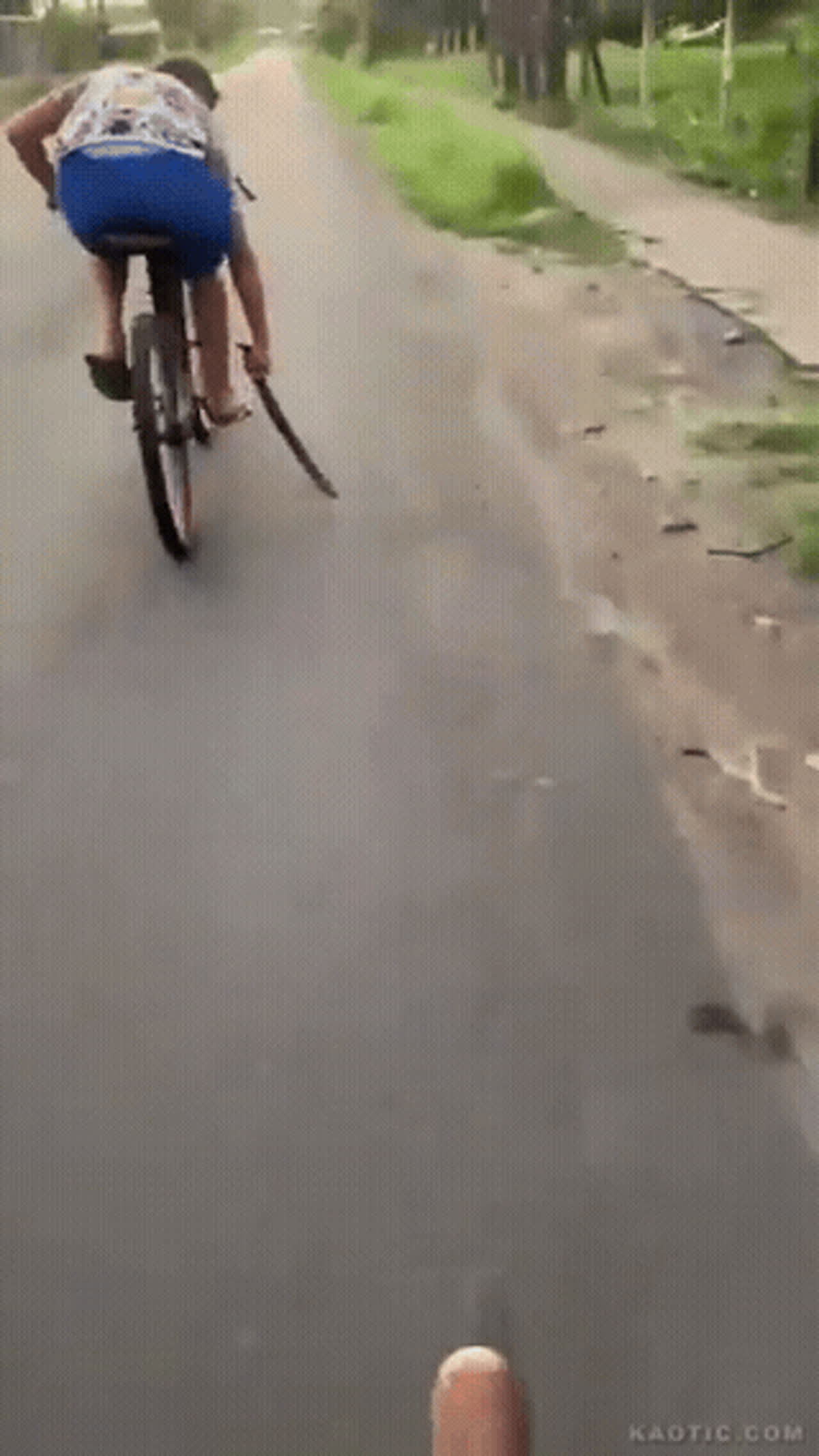 Cyclist With a Stick Falls Off meme in real life GIF - Memes GIF | GifVif