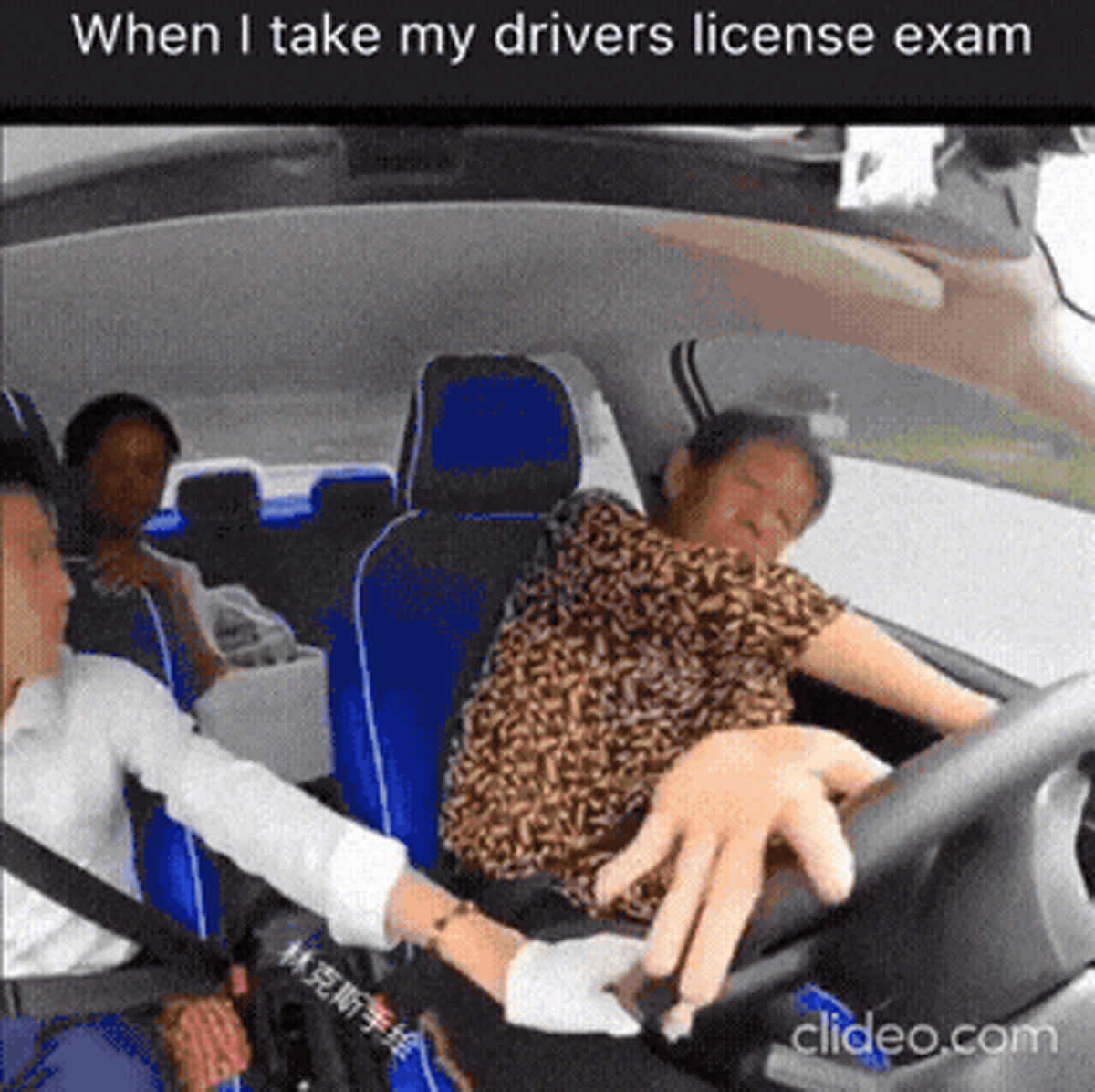 My drivers license exam GIF - Funny GIF | GifVif
