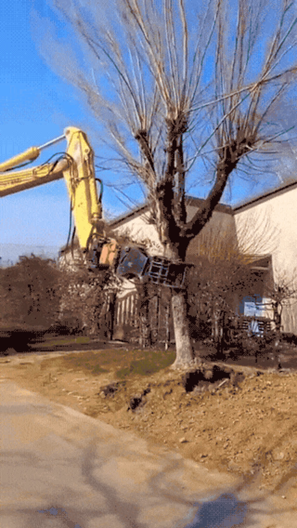 Tree Vs Machine GIF - Funny GIF | GifVif