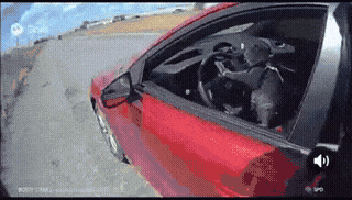 Cat driver GIF - Cat GIF | GifVif