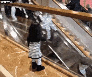 Cutest gif of the day