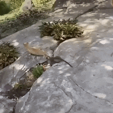 Friends for life GIF – Trending GIF on GifVif