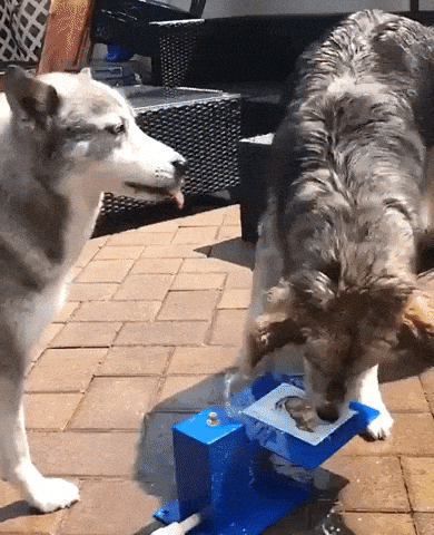 I am sure this is how it works