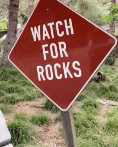 Watch for Rock