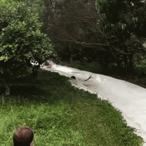 Running Off The Rails Gif Off The Rail GIF – Trending GIF on GifVif