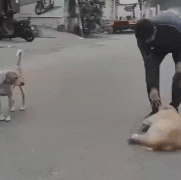 Someones current life is someones dream life