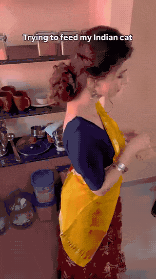 Trying to feed Indian cat