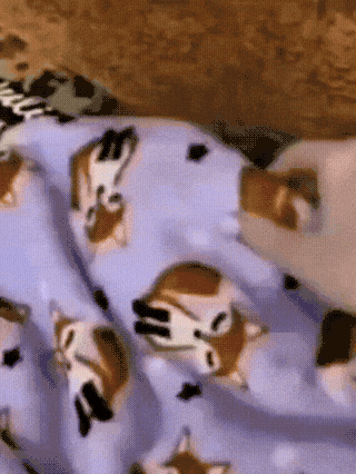 When somebody wakes you up in morning