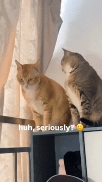 When your friend tell you a secret