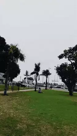 A giant emerges from the fog on approach