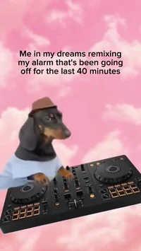 Alarm and dream every morning