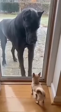 Alright have fun now