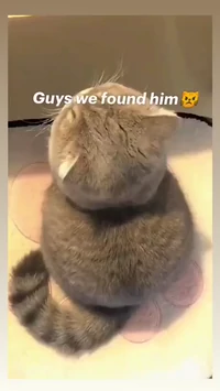 Baby Butch from tom and jerry