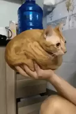 Balanced as everything should be