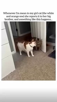 Big brother solves issue