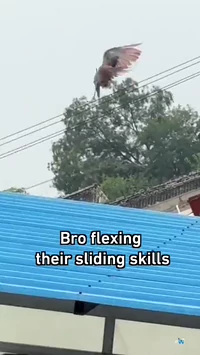 Bro flexing sliding skills