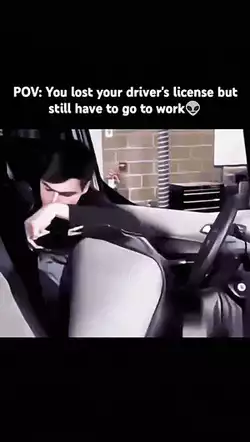 Car seat disguise