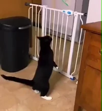 Careful planning leads to perfect execution