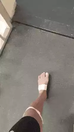 Cat mocking her hooman