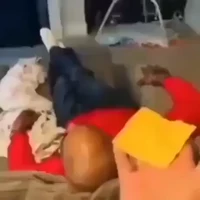 Cheese on a nigga