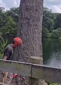 Council of men likes this