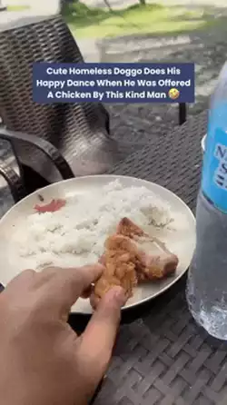 Cute doggo doing a dance for fried chicken