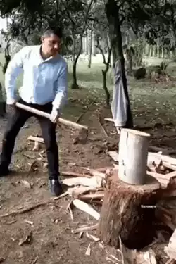 Cutting wood