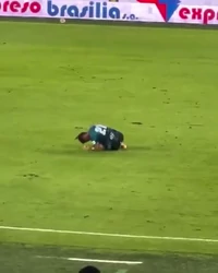 Dog wants to play too