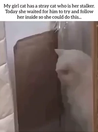 Everybody is crazy until they meet crazy