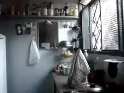 Download and share A friendly bird GIFs