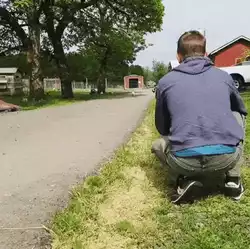 Download and share A man and his chicken GIFs