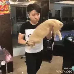 Download and share Catto barber GIFs