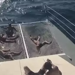 Download and share Enjoying boat ride to fullest GIFs