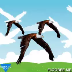 Flying eagles