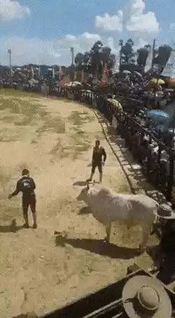 Genius move