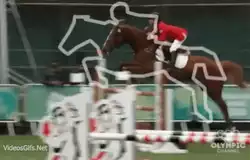 Jumping horse