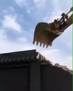 Mantis holding the ground