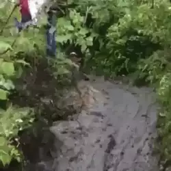 Mountain biking is fun they said