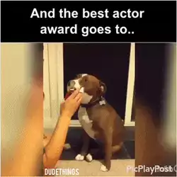 The best actor award goes to