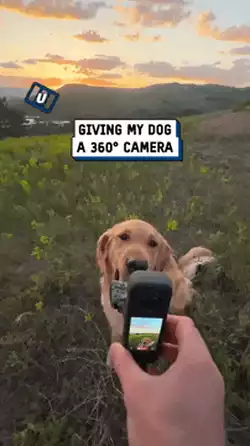 Good boi with 3D camera