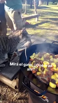 Here is some extra protein