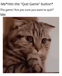 Me quitting the game