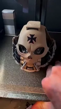 Meow is ready for battle